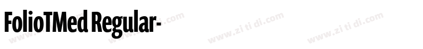 FolioTMed Regular字体转换 FolioTMed Regular字体转换